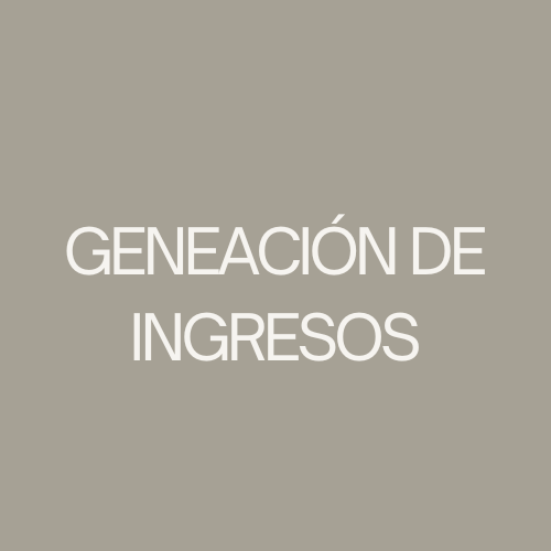 GENERACIÓN DE INGRESOS